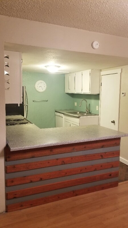 911 Fairview Blvd in Blue River, CO - Building Photo - Building Photo
