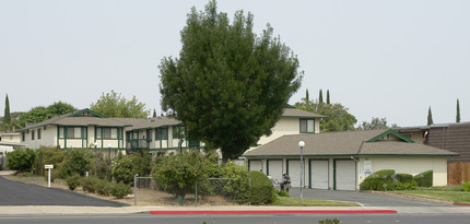 Lone Tree Apartments in Antioch, CA - Building Photo - Building Photo