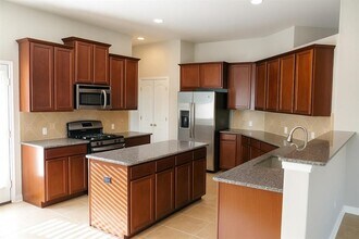 299 Clear Springs Hollow in Buda, TX - Building Photo - Building Photo