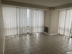125 SW Jefferson Ave in Peoria, IL - Building Photo - Building Photo