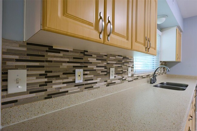 686 Manor Dr W in Dunedin, FL - Building Photo - Building Photo