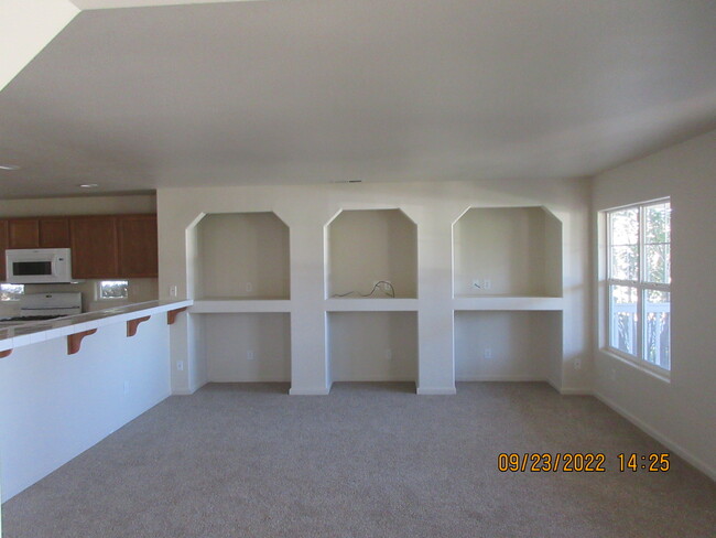 1324 Scotch Pine Way in Gardnerville, NV - Building Photo - Building Photo