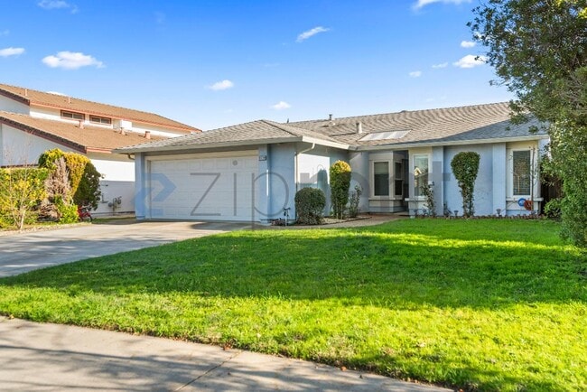 33739 Slender Ct in Fremont, CA - Building Photo - Building Photo