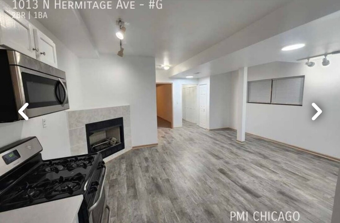 1013 N Hermitage Ave in Chicago, IL - Building Photo