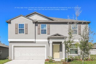 1882 Crinkle Leaf Ct in Ruskin, FL - Building Photo