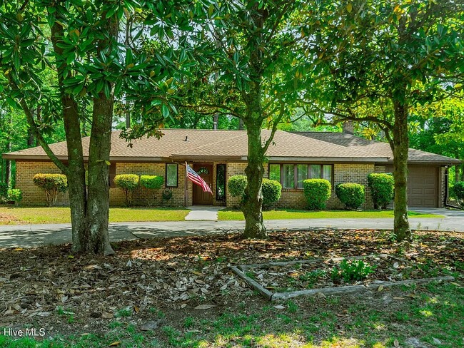 property at 37 Calabash Dr