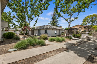 Delta Pines Apartments in Antioch, CA - Building Photo - Building Photo