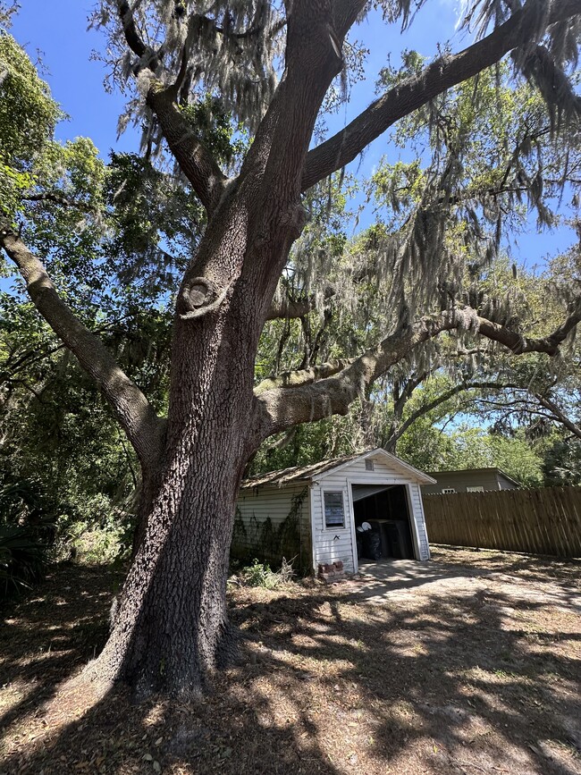 1607 Peachtree Cir N in Jacksonville, FL - Building Photo - Building Photo