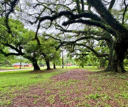 11780 Old Pascagoula Rd in Grand Bay, AL - Building Photo - Building Photo