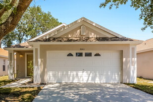 10411 Lakeside Vista Dr in Riverview, FL - Building Photo