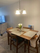 4800 Hale Pkwy in Denver, CO - Building Photo - Building Photo