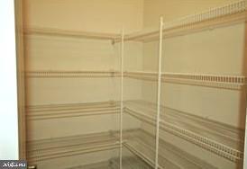 1528 Witchhazel Cir in Gambrills, MD - Building Photo - Building Photo
