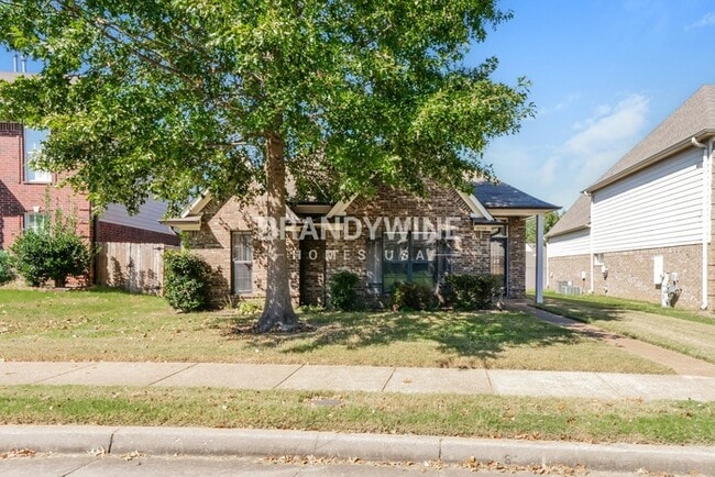 9198 Chastain Pl in Cordova, TN - Foto de edificio - Building Photo