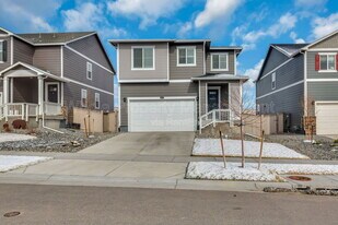 18047 Dandy Brush Dr in Parker, CO - Building Photo
