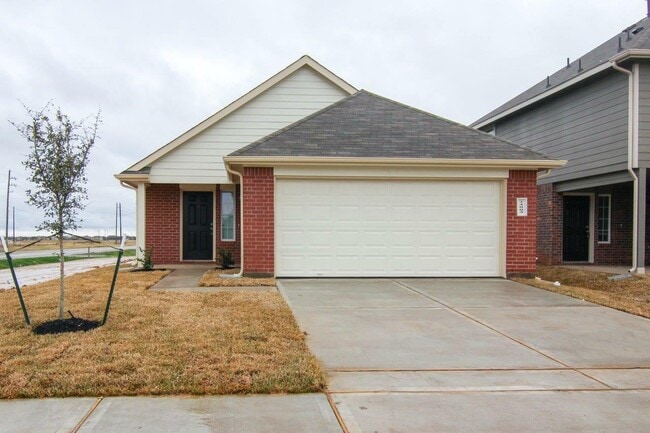 24003 Avogadro Dr in Katy, TX - Building Photo - Building Photo