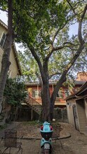 925 Royal St in New Orleans, LA - Building Photo - Building Photo