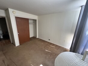 North Berkeley, Spacious 2 BR 1 BA in Berkeley, CA - Building Photo - Building Photo