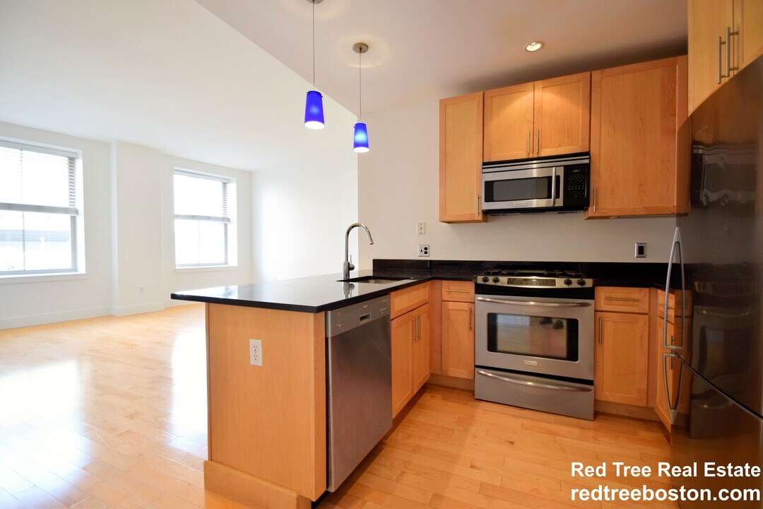 181 Essex St, Unit 302 in Boston, MA - Foto de edificio