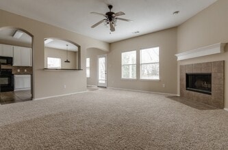 249 Niagara Falls Dr in Anna, TX - Building Photo - Building Photo