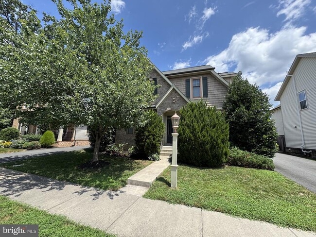23318 April Mist Pl in Ashburn, VA - Building Photo - Building Photo
