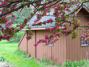 365 Woodward Rd in Nassau, NY - Building Photo - Building Photo