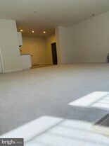 41886 Night Nurse Cir in Ashburn, VA - Building Photo