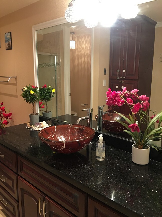 6239 Shelter Creek Ln Rentals in San Bruno, CA