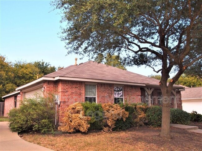 3814 Juniper Hills Dr in Rockwall, TX - Building Photo - Building Photo