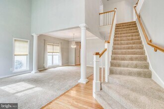 26161 Rachel Hill Dr in Chantilly, VA - Building Photo - Building Photo