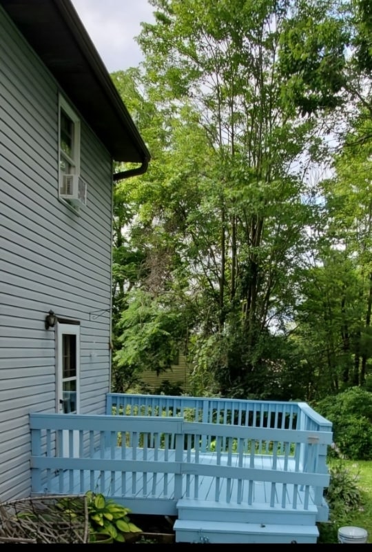 717 Squires Ave in Endicott, NY - Building Photo - Building Photo