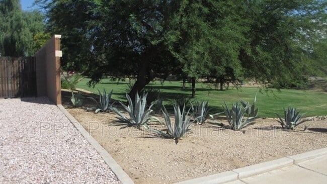 15105 N 155th Ln in Surprise, AZ - Building Photo - Building Photo