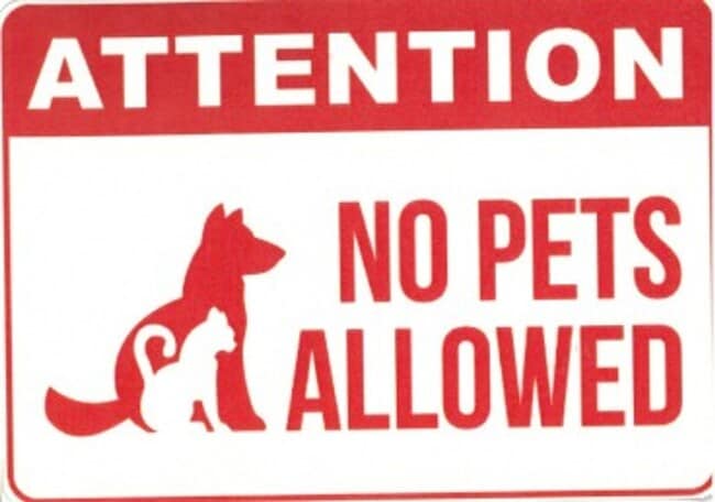 315 Goddard Dr in Greeneville, TN - Building Photo - Building Photo