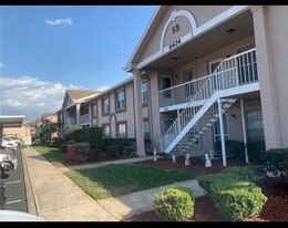 6424 Spring Flower Dr in New Port Richey, FL - Building Photo