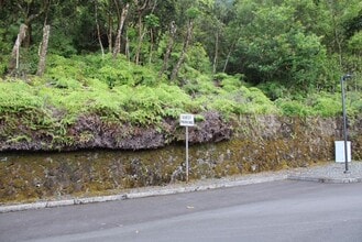 47-158-158 Lile Pl in Kaneohe, HI - Building Photo - Building Photo