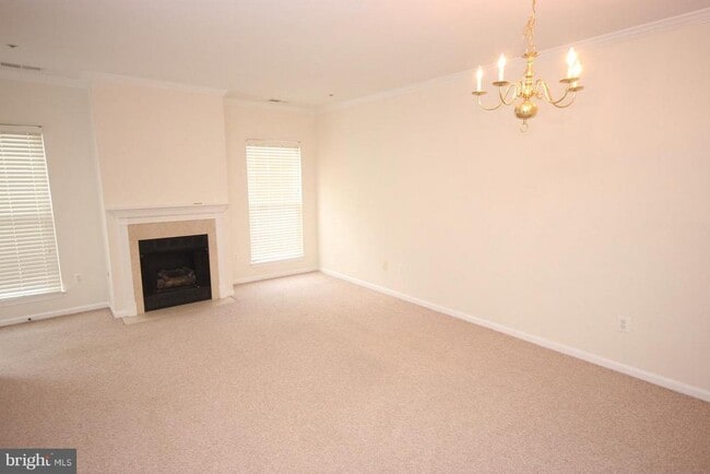 7000 Falls Reach Dr in Falls Church, VA - Building Photo - Building Photo