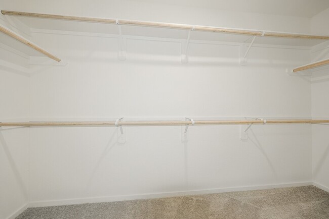 13495 Bay Springs Dr in Conroe, TX - Building Photo - Building Photo