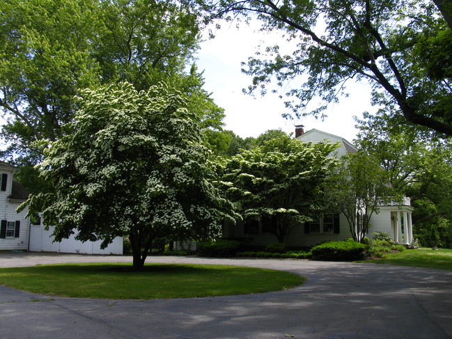 Single Family Home in South Hamilton, MA - Building Photo - Building Photo