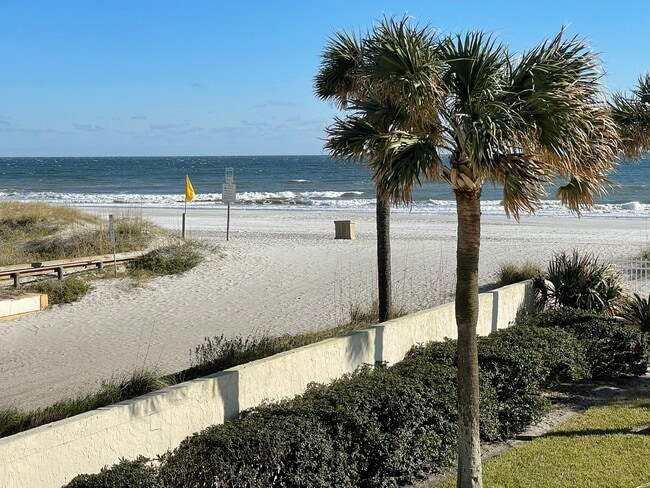 1601 Ocean Dr S, Unit 101 in Jacksonville Beach, FL - Building Photo - Building Photo