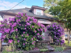 429 NW 17th St in Corvallis, OR - Foto de edificio - Building Photo
