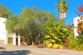 3649 E 3rd St in Tucson, AZ - Building Photo - Building Photo