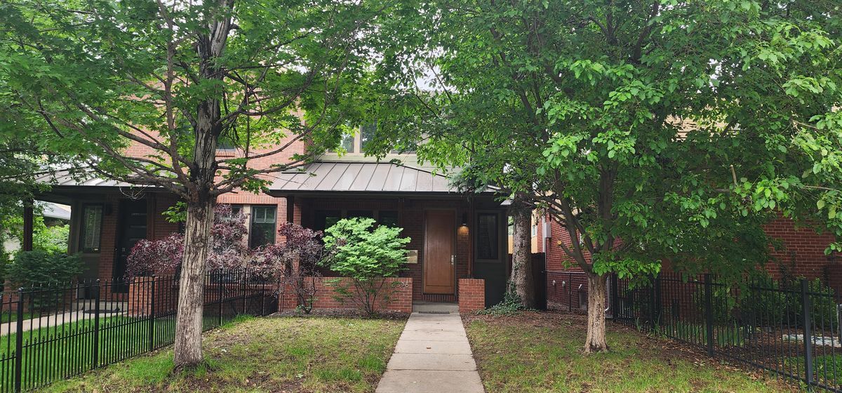 2038 S Columbine St in Denver, CO - Building Photo