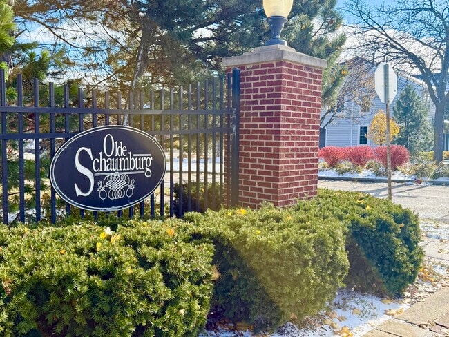 153 Fulbright Ln in Schaumburg, IL - Building Photo - Building Photo