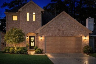 11334 Burning Tree Dr in Montgomery, TX - Building Photo