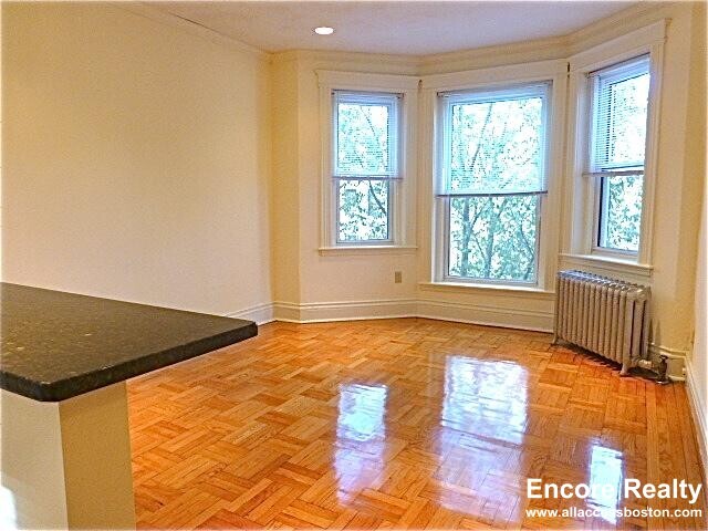 28 Queensberry St, Unit 36 in Boston, MA - Building Photo - Building Photo