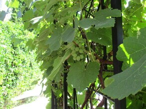 5042 Llano Dr in Los Angeles, CA - Building Photo - Building Photo