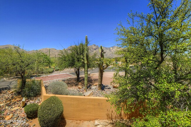 6651 N Campbell Ave in Tucson, AZ - Building Photo - Building Photo