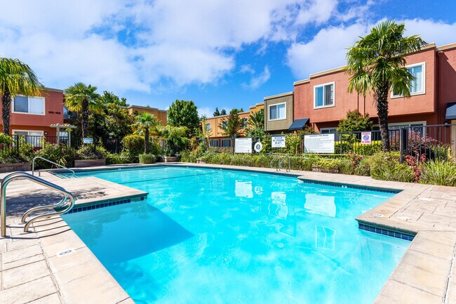 Palm Terrace Condominium Rentals in Concord, CA - Building Photo - Building Photo