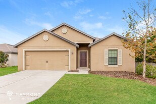 844 Chatham Walk Dr in Ruskin, FL - Building Photo