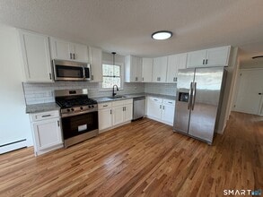 163 Collins St in New Britain, CT - Building Photo - Building Photo