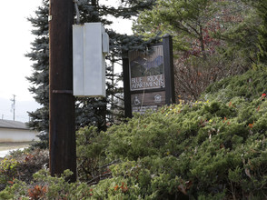 Blue Ridge in Black Mountain, NC - Building Photo - Building Photo